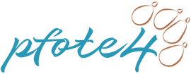 Logo - Onlineshop pfote4