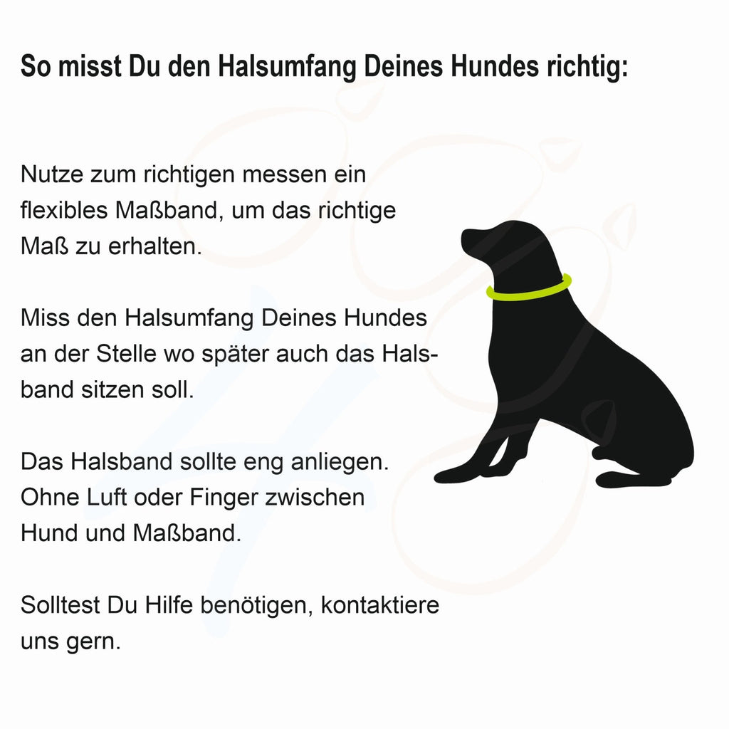 Halsband für einen hund