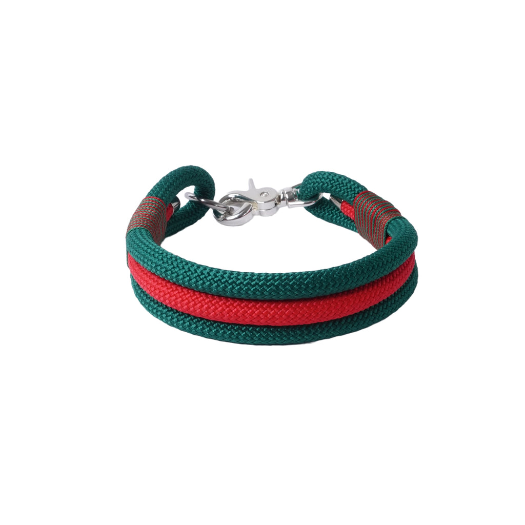 Halsband für einen hund in grün rot