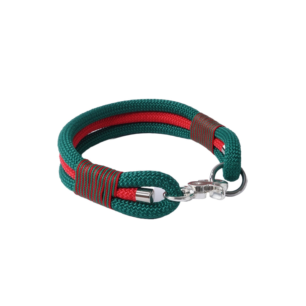 Halsband für einen hund in grün rot