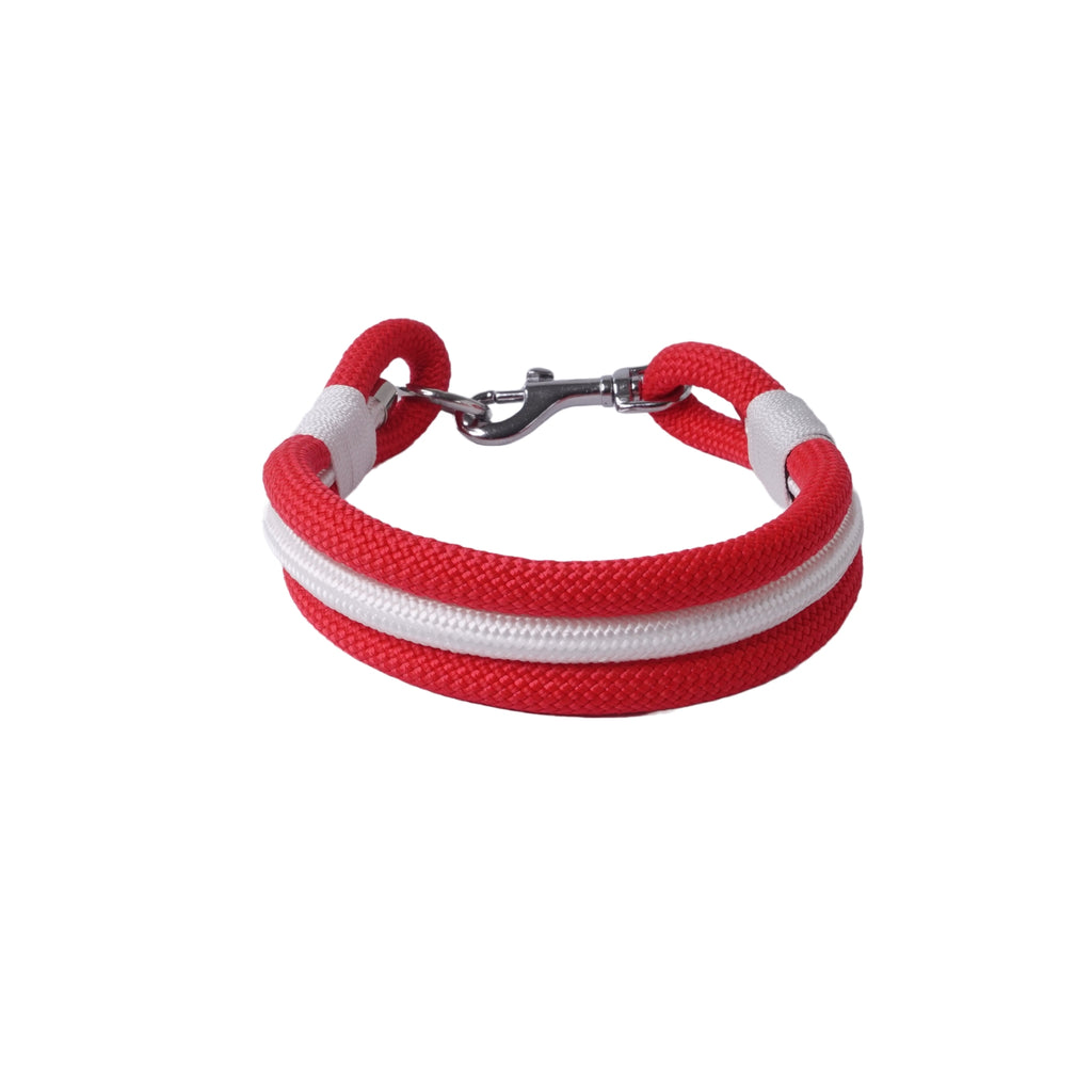 Halsband für einen hund in rot weiß