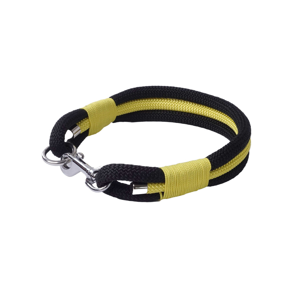 Halsband für einen hund in schwarz gelb