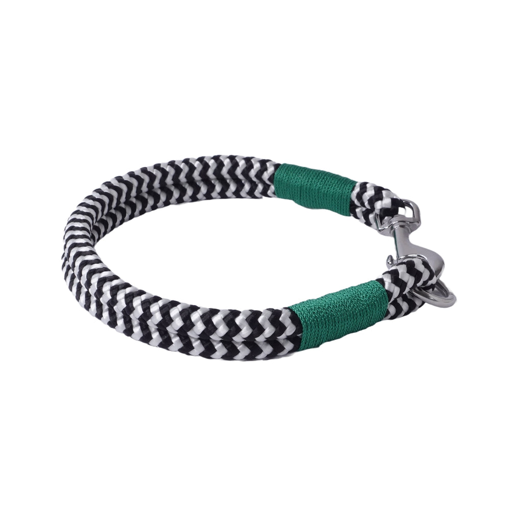 Halsband für einen hund in schwarz weiß grün