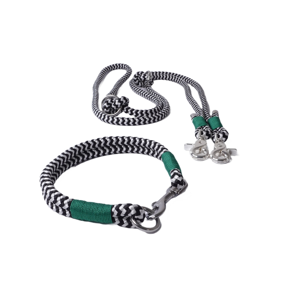 HalsLeine und halsband für einen hund in schwarz weiß grün