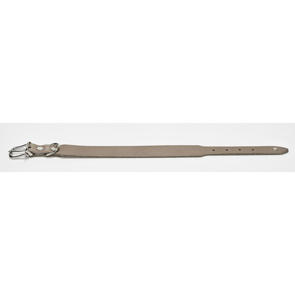 klassisches Halsband für Hunde aus Leder in Grey, Grau