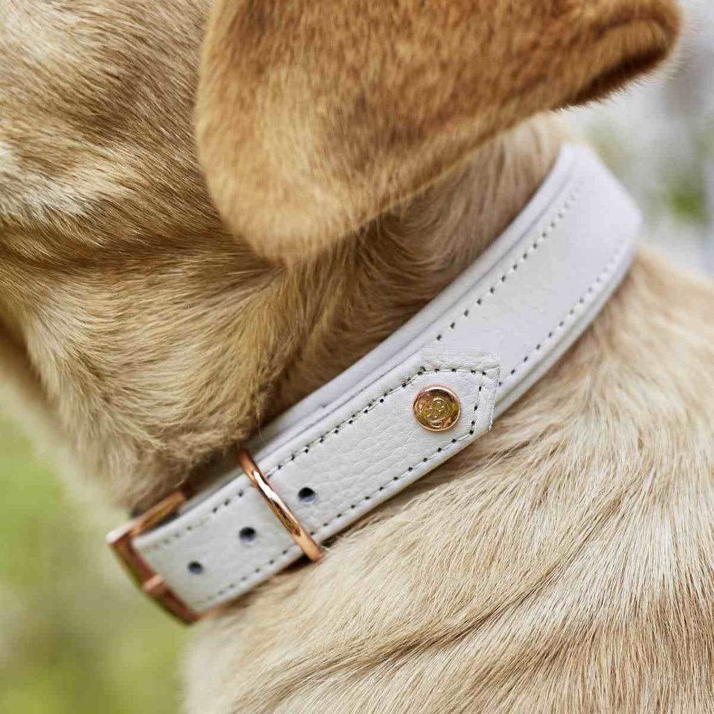 Lederhalsband aus Nappaleder in Grau, Grey, Halsband Leder