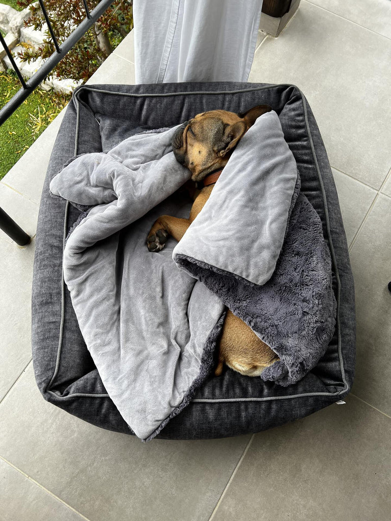 Hundedecke aus Webpelz in Stone, Cozy Webpelzdecke