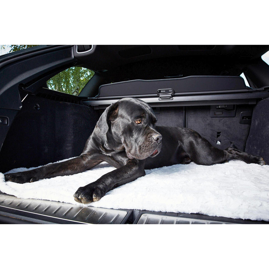 Hundedecke aus Webpelz in Light Grey, hellgrau, Cozy Webpelzdecke