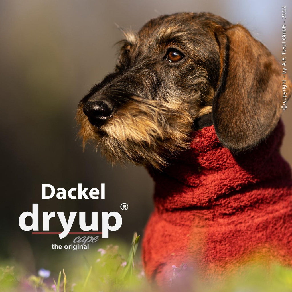 Hundebademantel für Dackel und kleine Hunde