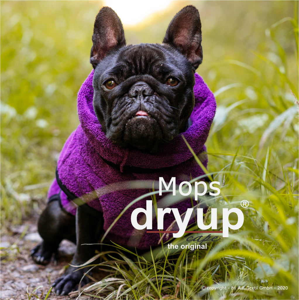 Hundebademantel für Mops