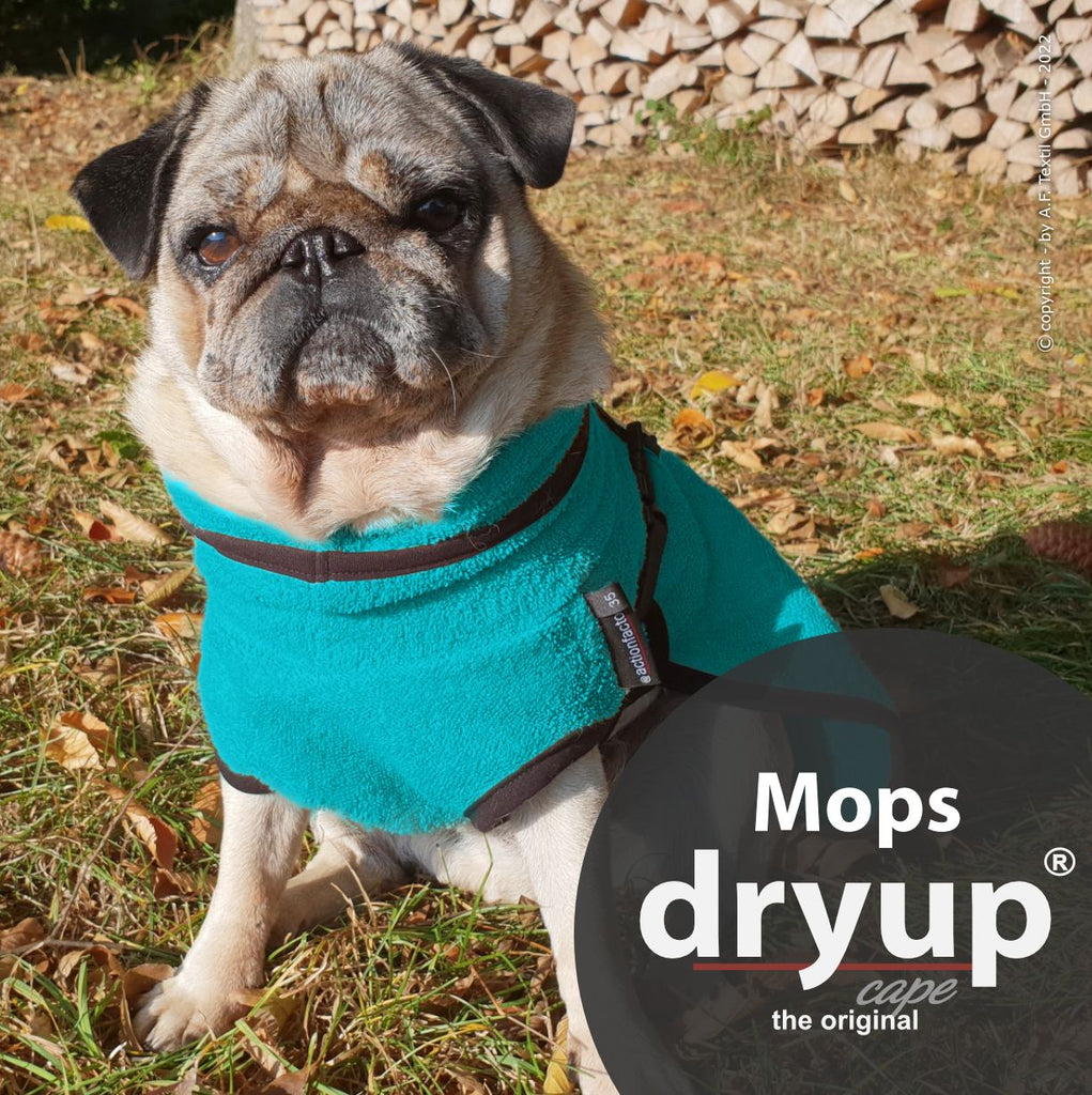 Hundebademantel für Mops
