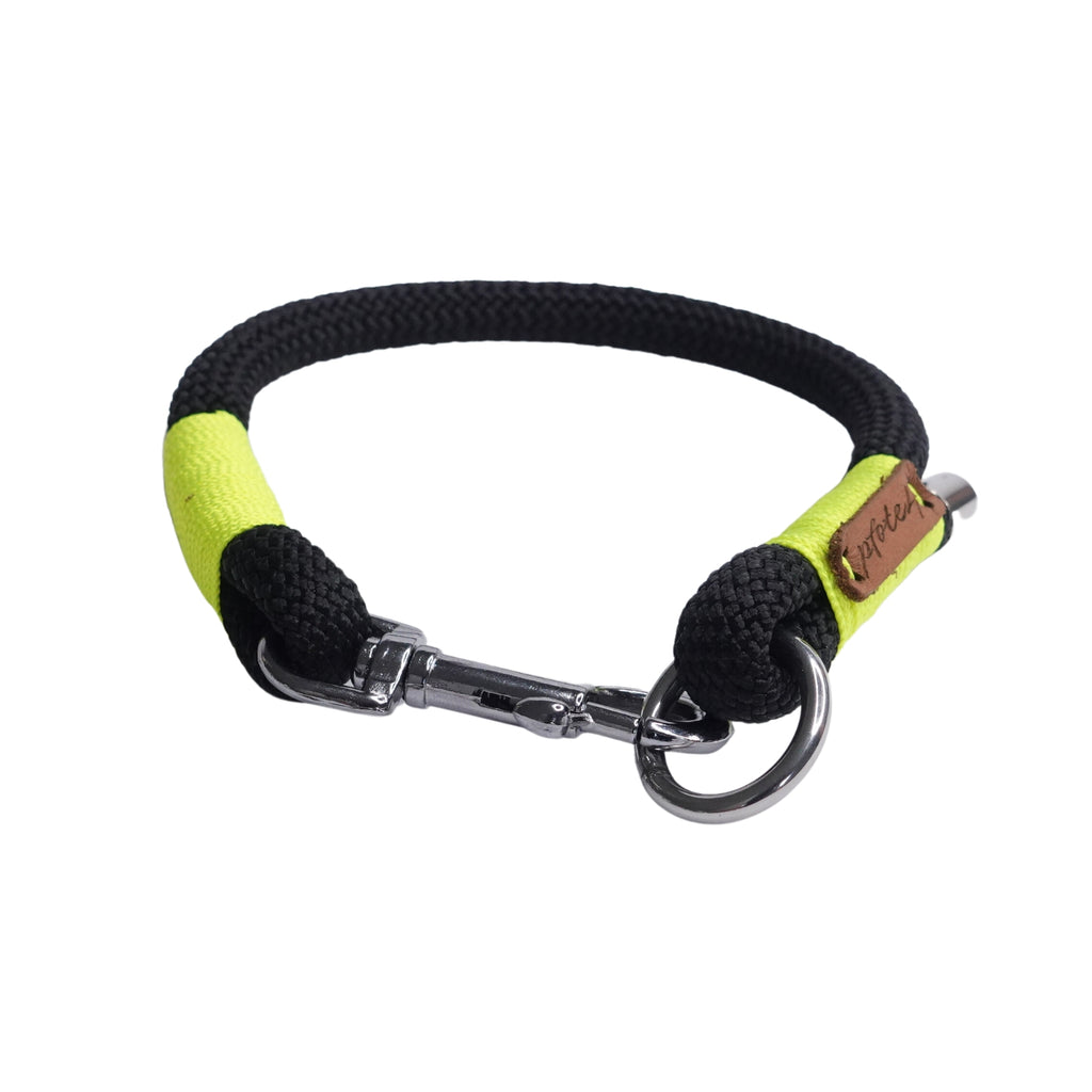 Halsband aus Tau für kleine Hunde