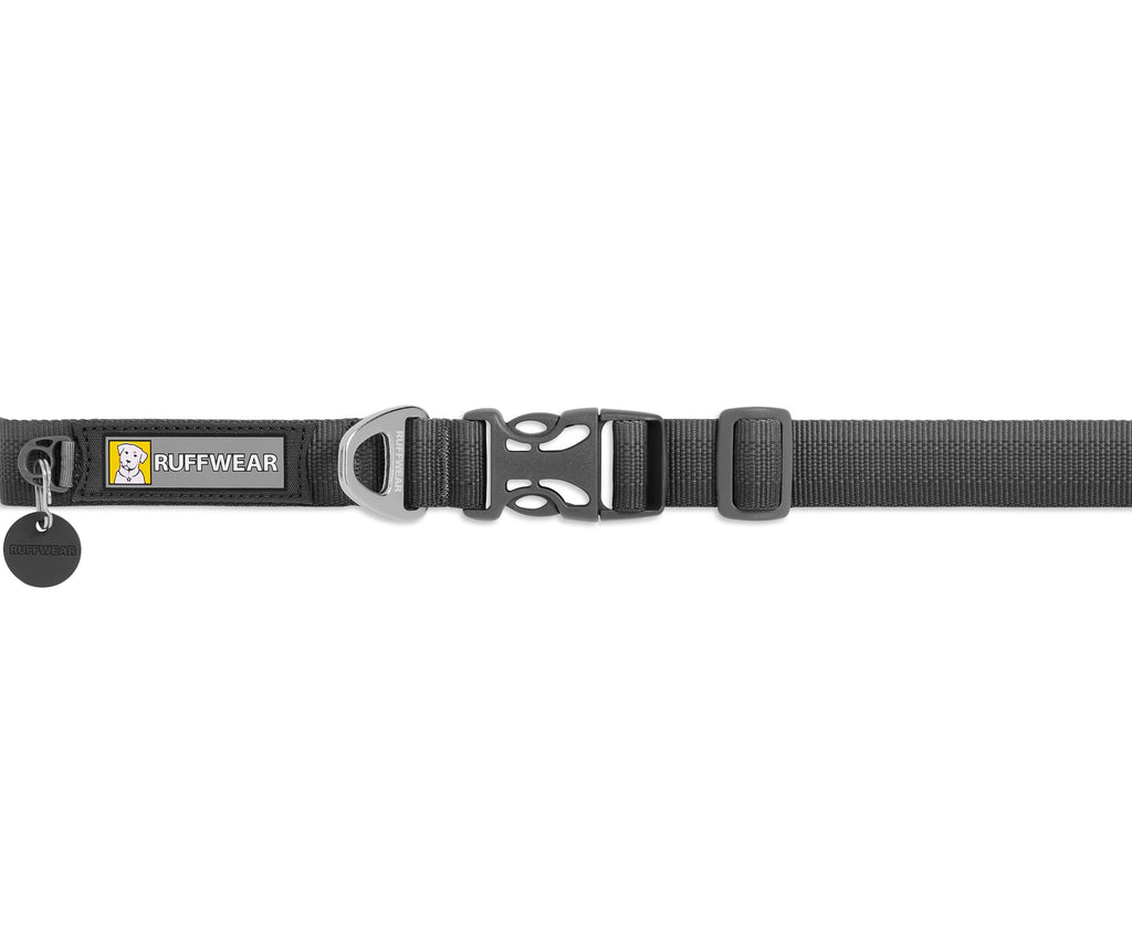 alltägliches Halsband für Hund, Hundehalsband