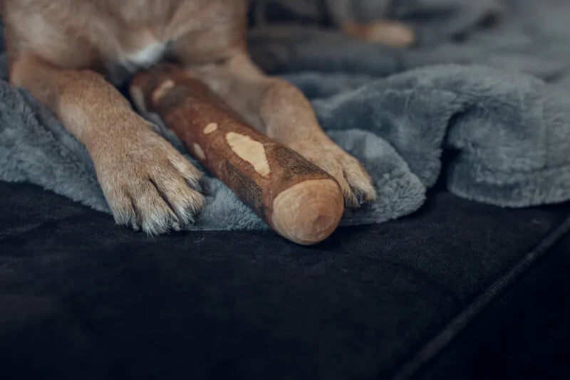Kauholz Woddy für hunde