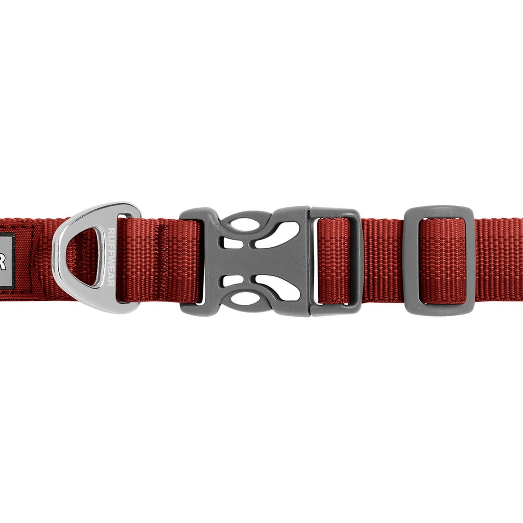 alltägliches Halsband für Hund, Hundehalsband
