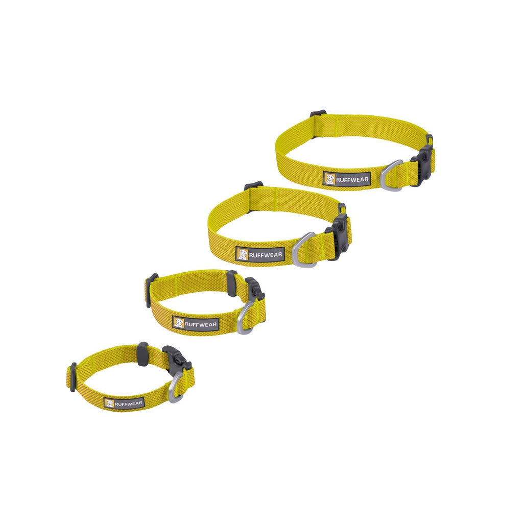 superleichtes und starkes Hundehalsband 