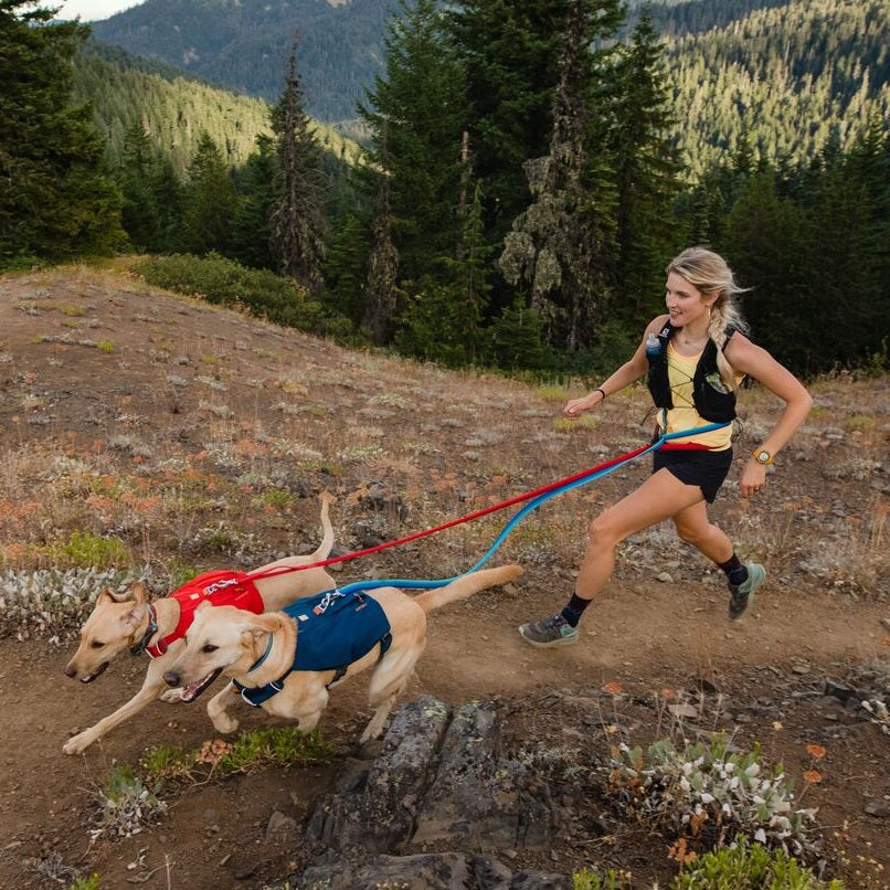 Dehnbare Hundeleine, Leine für Hunde zum Joggen