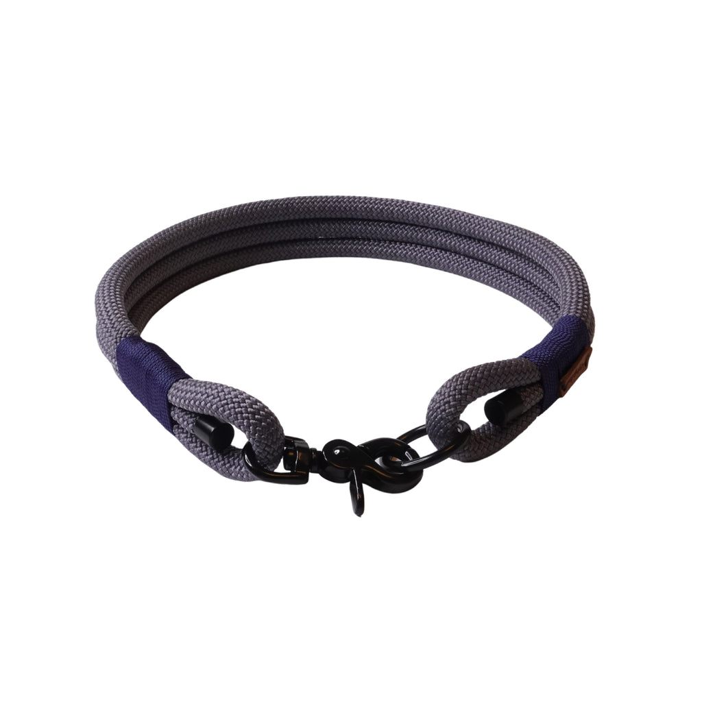 Tauhalsband, Hundehalsband, Halsband für Hunde