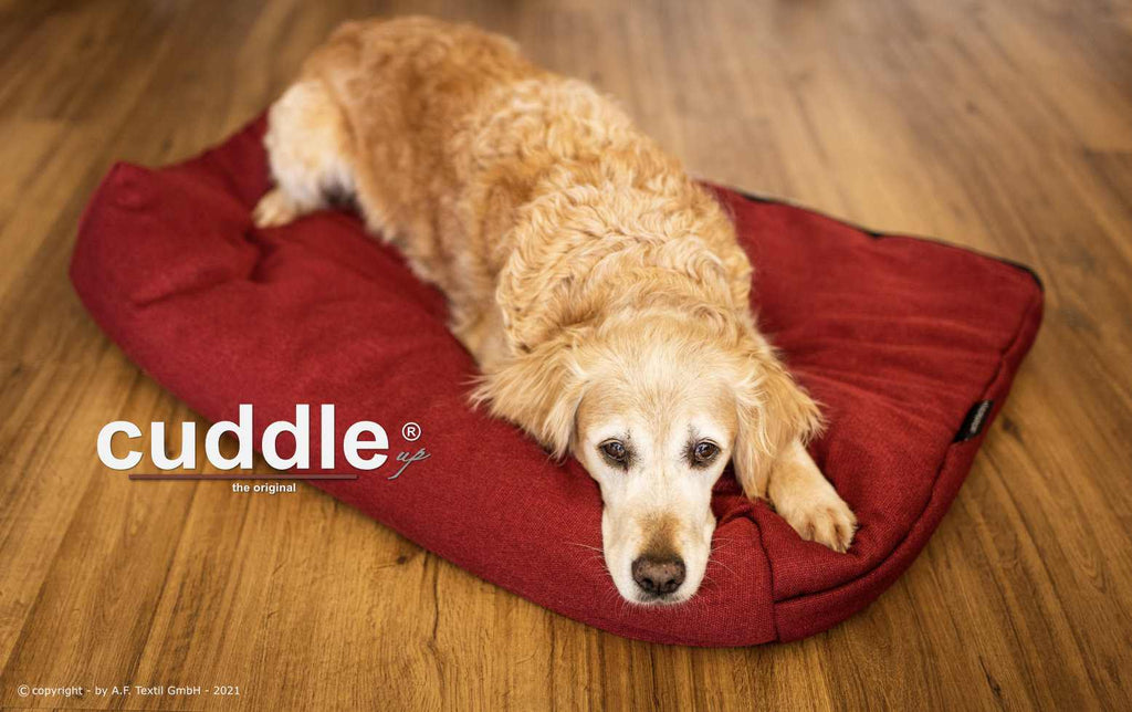 Cuddle up® - Gemütliches Kuschelnest, Hundebett, Hundedecke