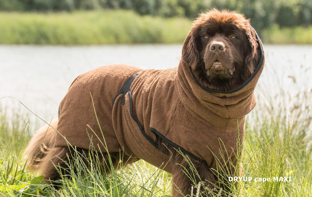 Hundebademantel für große Hunde