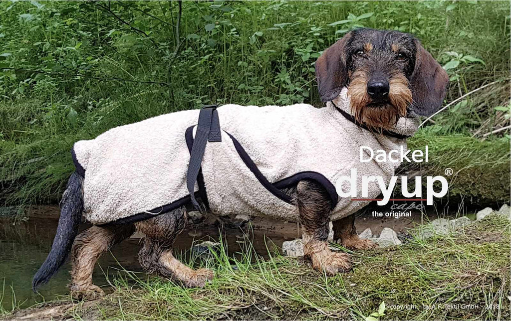 Hundebademantel für Dackel und kleine Hunde