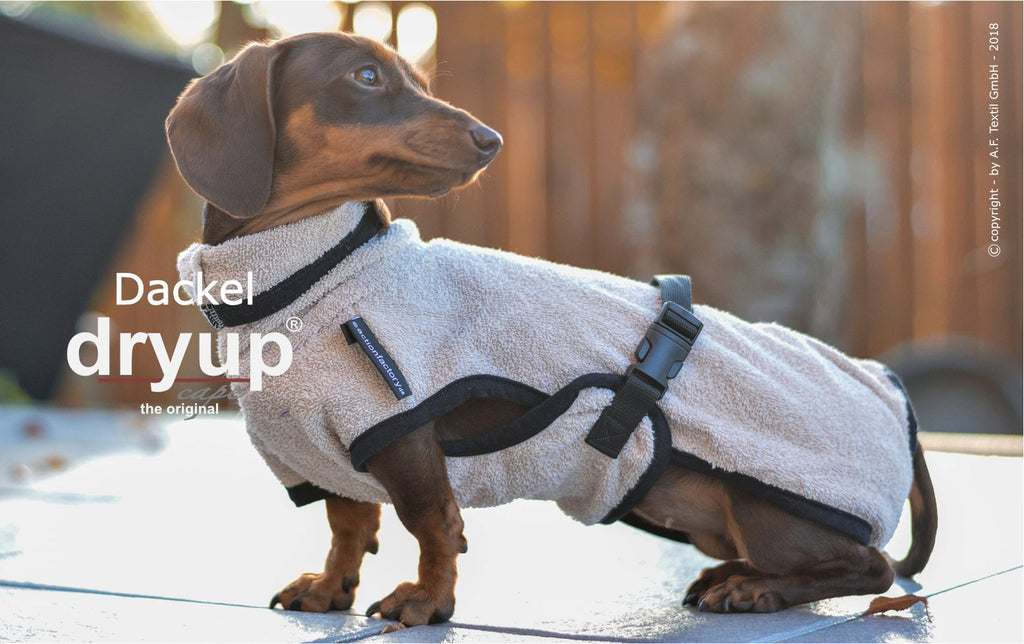 Hundebademantel für Dackel und kleine Hunde