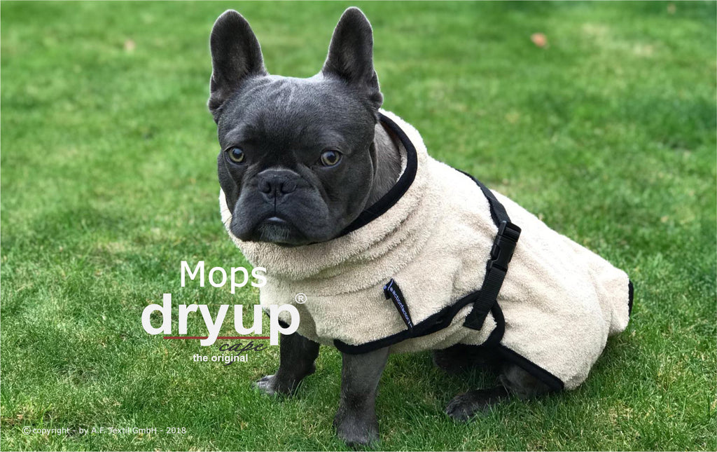 Hundebademantel für Mops