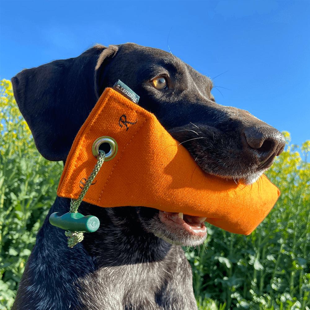 Standard-Dummy für Hunde