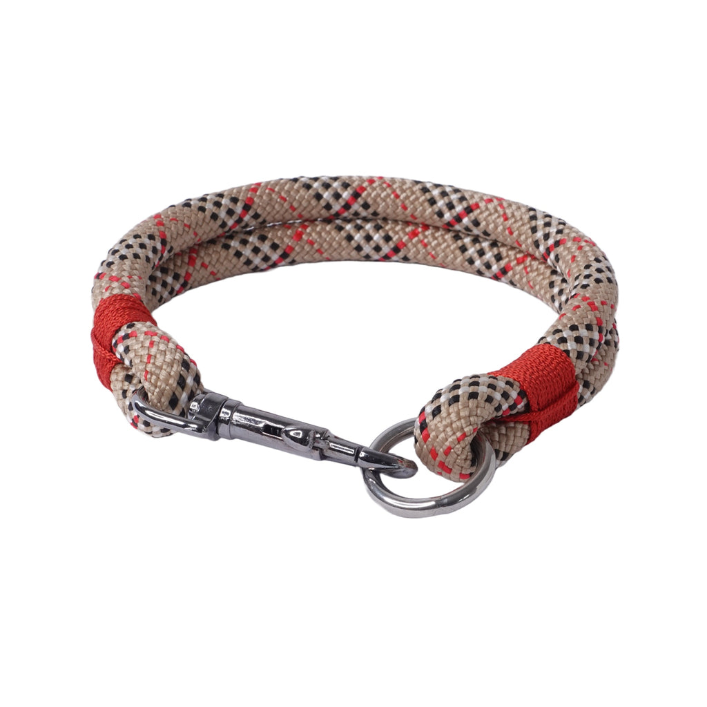 Tauhalsband, Hundehalsband, Halsband für Hunde