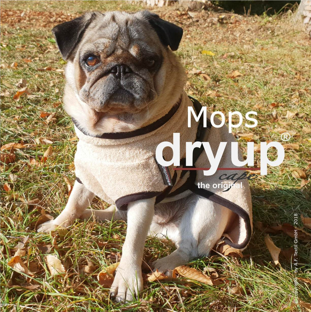 Hundebademantel für Mops