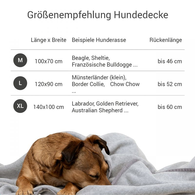 Fleece Kuscheldecke - Hellgrau - Doctor Bark