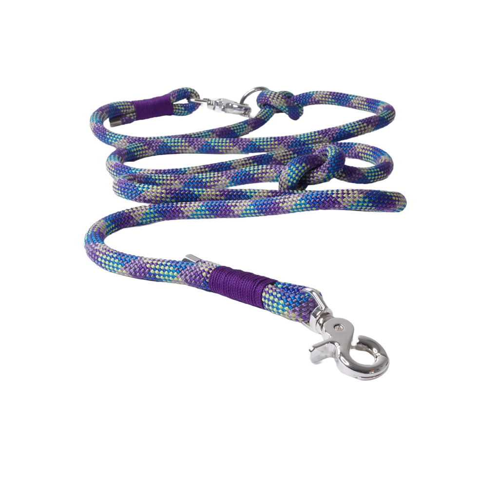 Tauleine, Hundeleine, Umhängeleine für Hunde