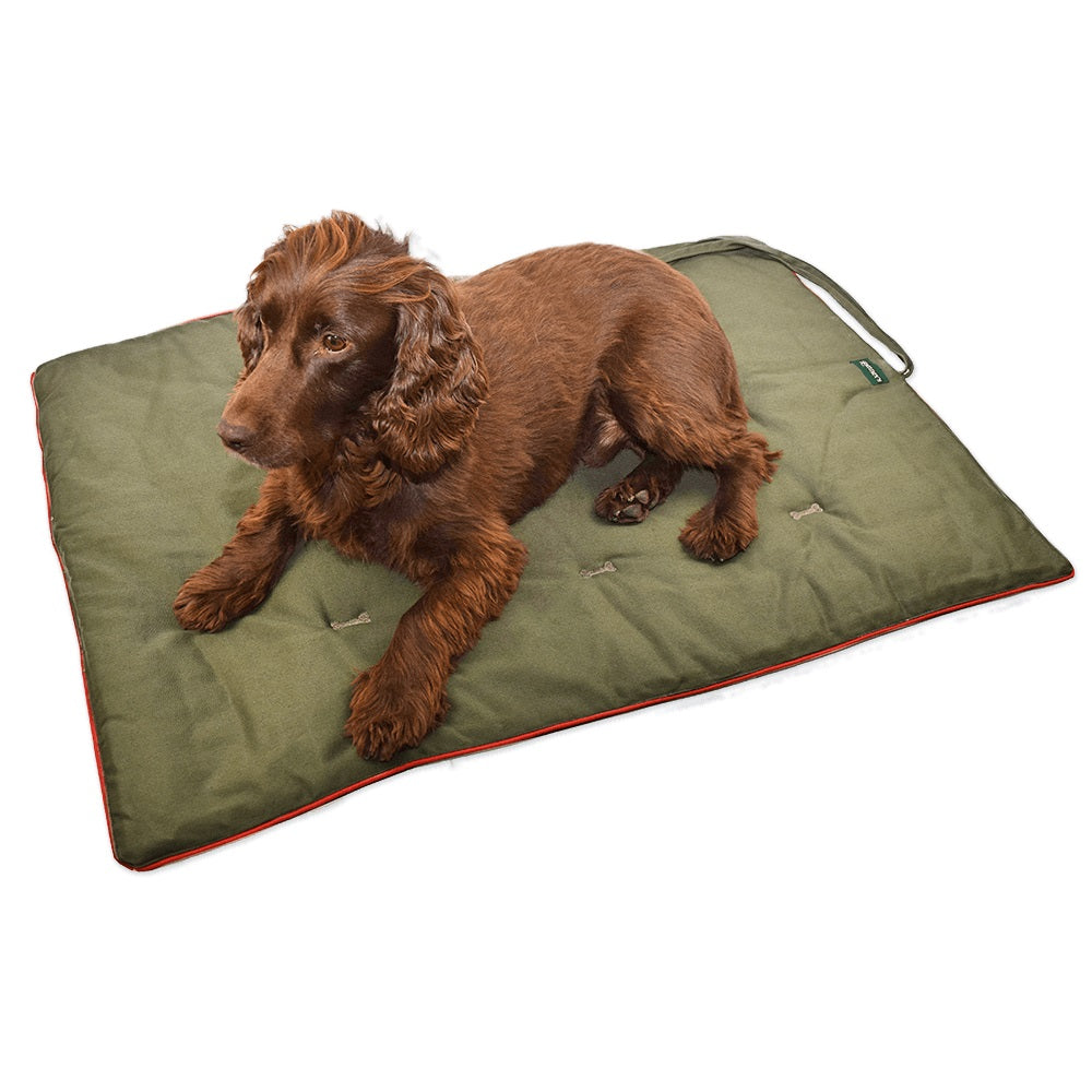 Reisedecke, Hundedecke für Hunde