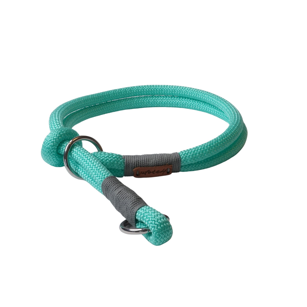Tauhalsband, Hundehalsband, Halsband für Hunde