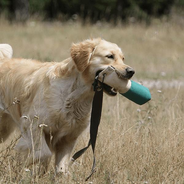 LONGTAIL MARKER DUMMY