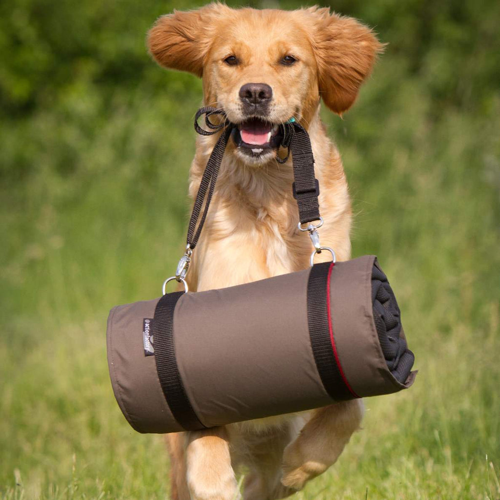 Hundedecke mit Neopren Unterseite und Fleece